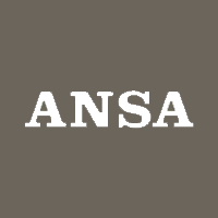 ansa