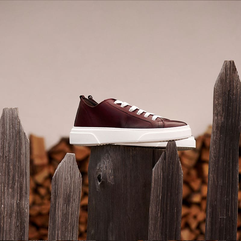 Mens Leather Shoes